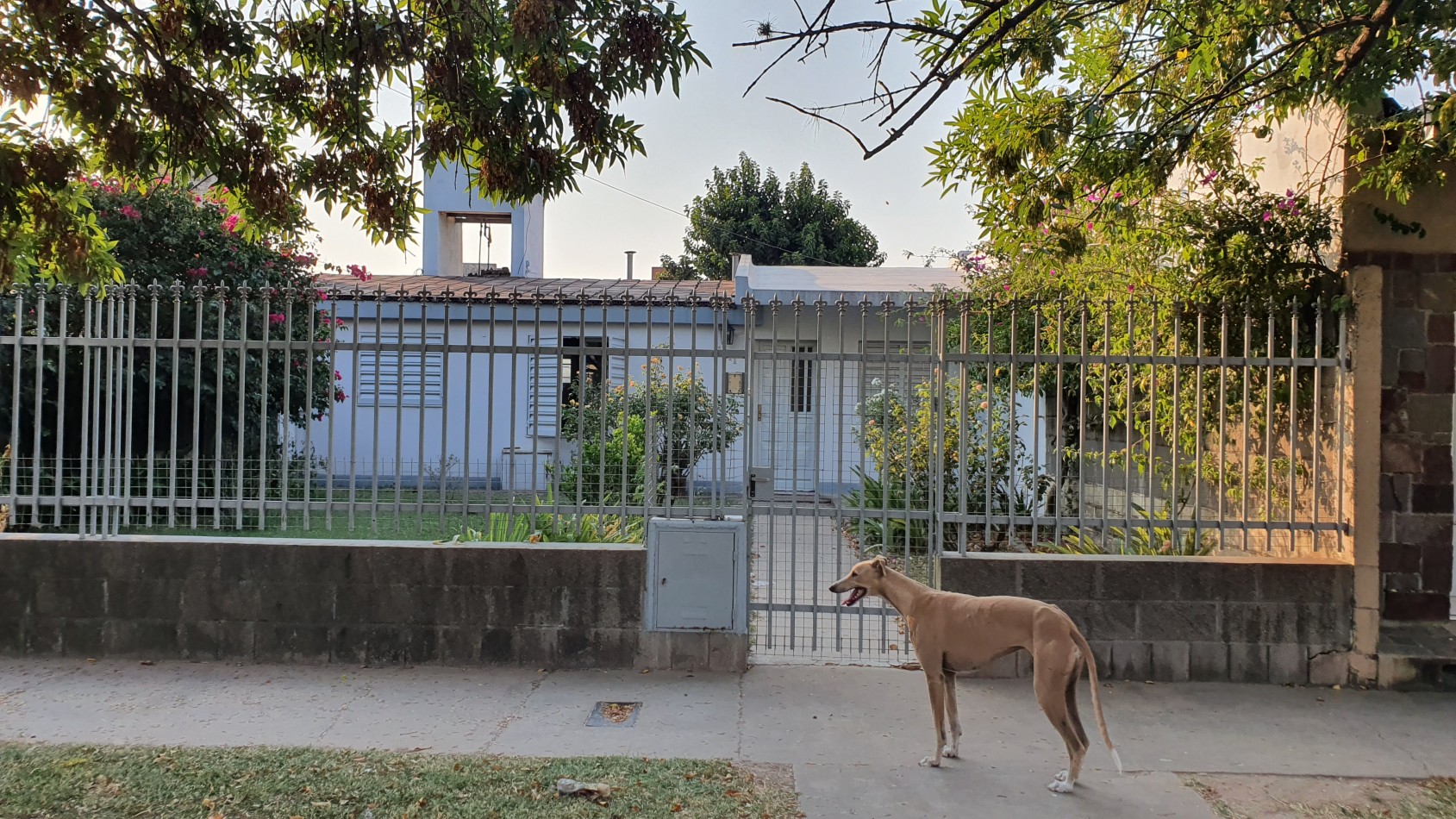 TERRA NOSTRA VENDE !!!.. Muy Buena Propiedad sobre Av. San Lorenzo. 