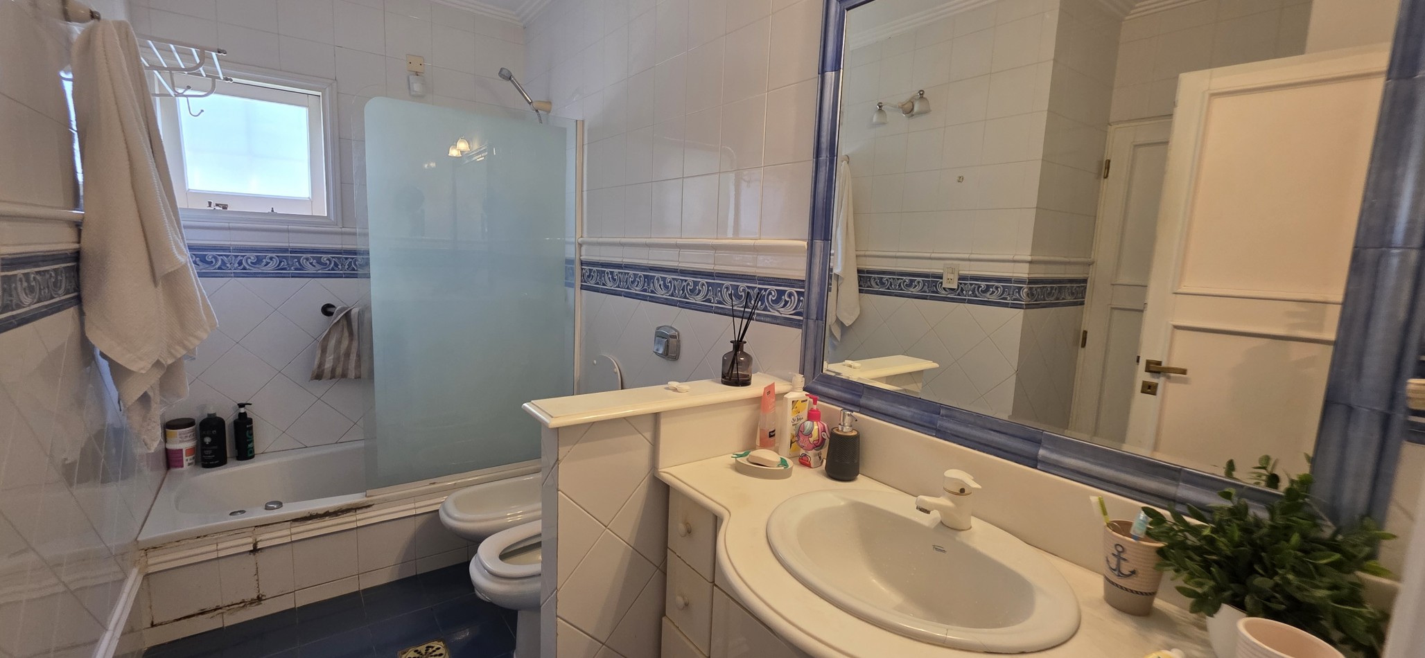 TERRA NOSTRA TIENE OTRA BOMBA !!!