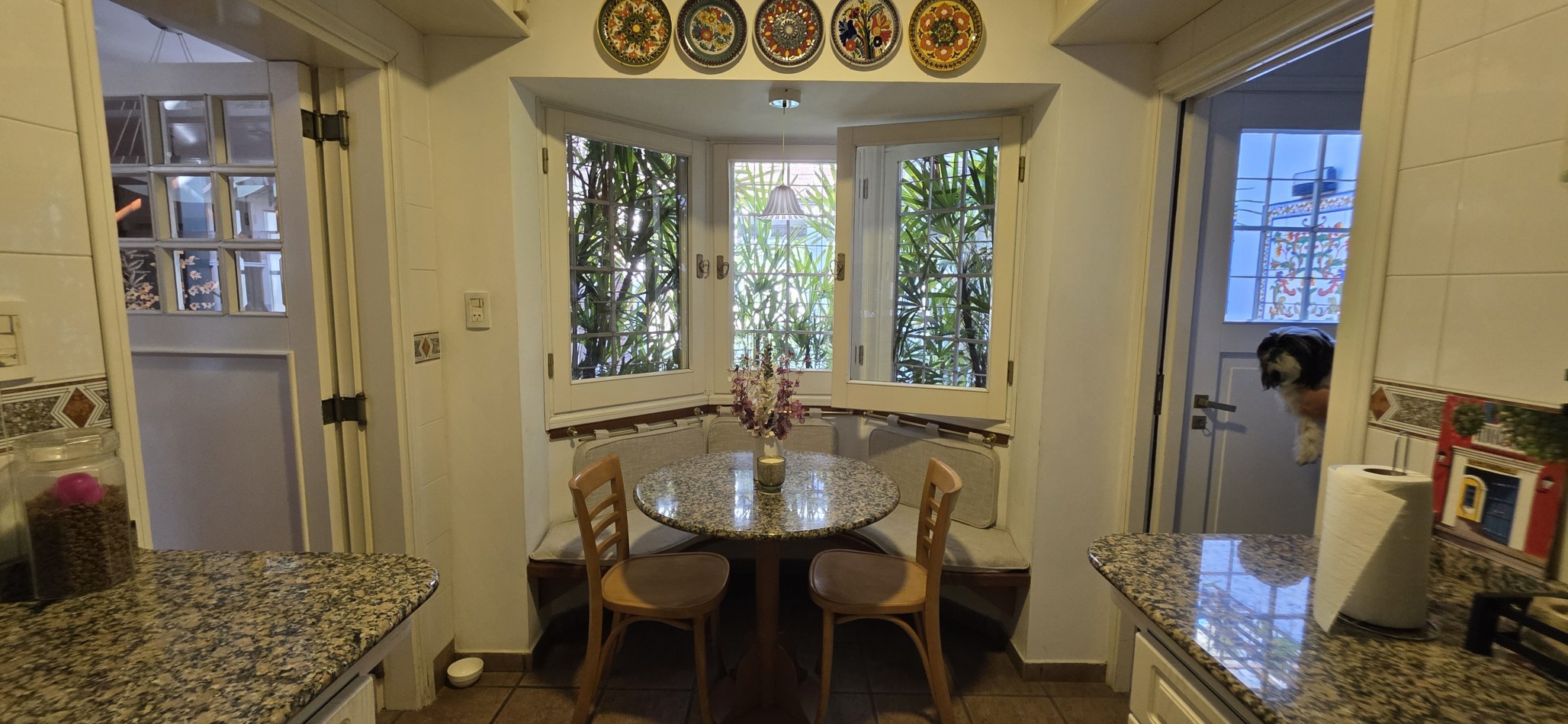 TERRA NOSTRA TIENE OTRA BOMBA !!!