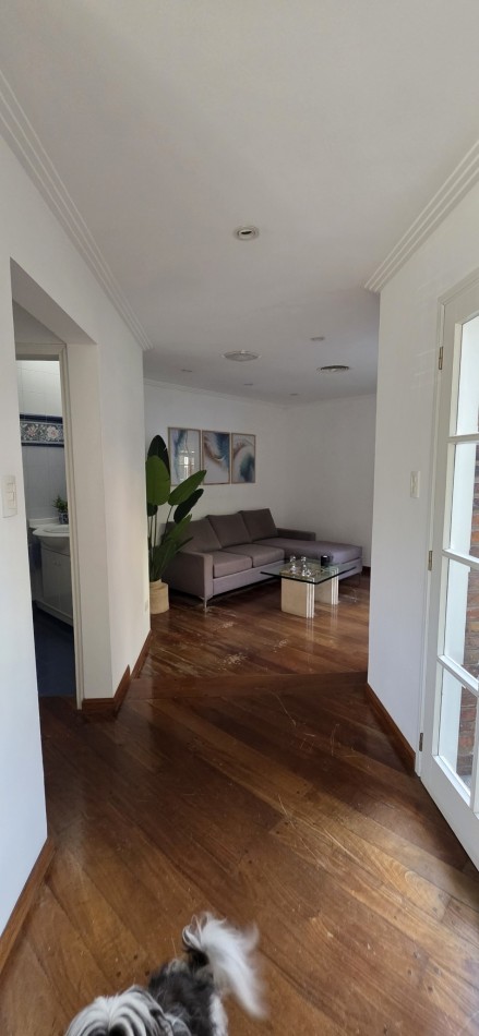 TERRA NOSTRA TIENE OTRA BOMBA !!!