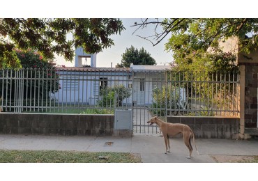 TERRA NOSTRA VENDE !!!.. Muy Buena Propiedad sobre Av. San Lorenzo. 